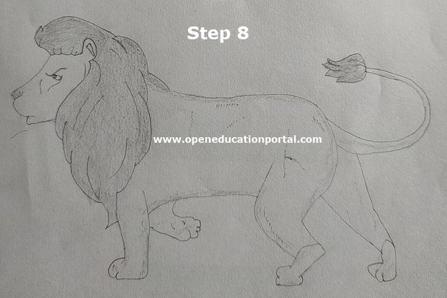 how-to-draw-a-lion-for-kids-step-8.jpeg