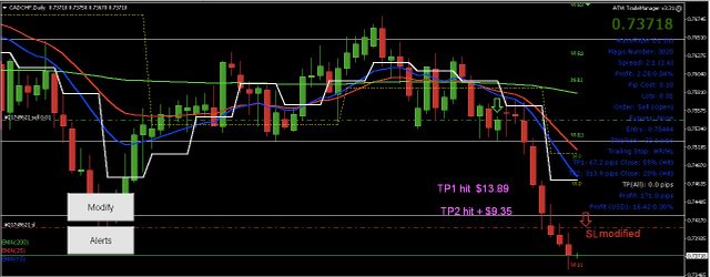 4. CADCHF SL mod.jpg