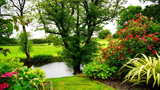 outdoors-park-background-with-flowers-garden-plants-river.jpg