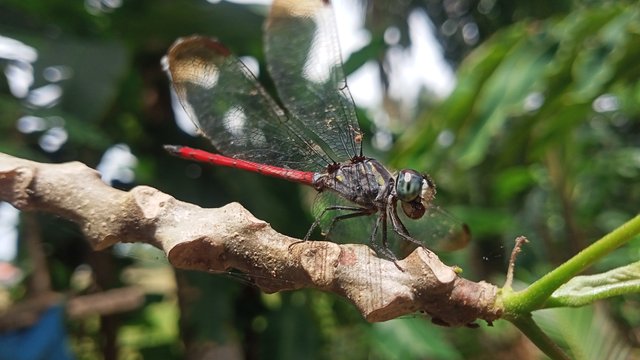 IMG20250430135704.jpg