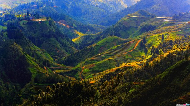 phong-canh-dep-Sapa-thien-nhien-Vietnam.jpg