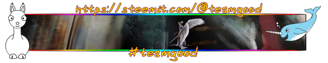 teamgoodbanner1 (1) (1).png