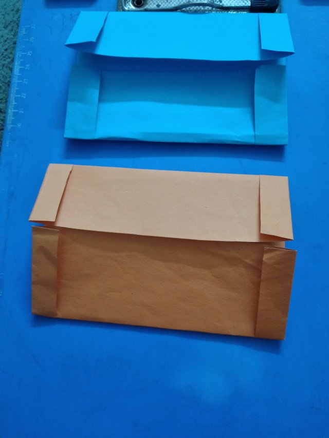 20250424_070313.jpg