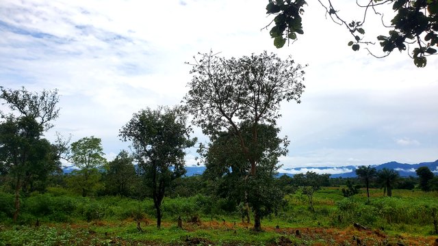 20250916_120931.jpg