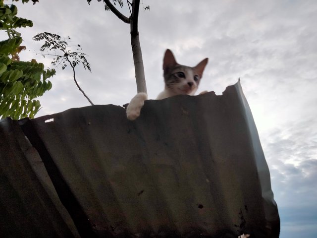 IMG20250720184227.jpg