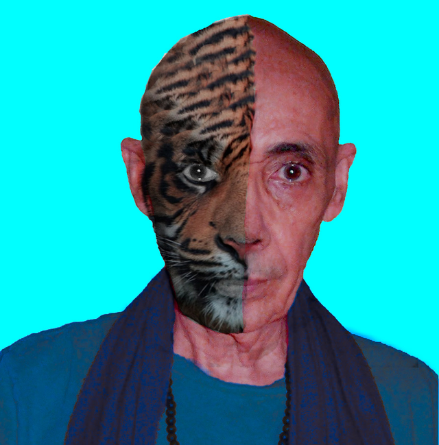 Swami Hamsananda.png