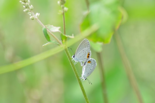 _AHW0959.jpg