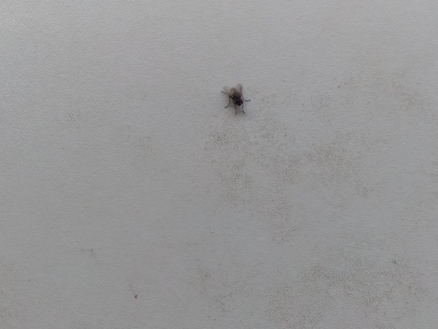 20250705_173808.jpg