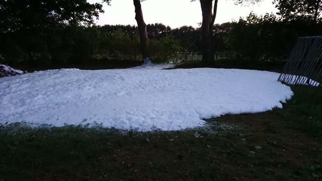 DSC_0001_BURST20180904202509967.JPG