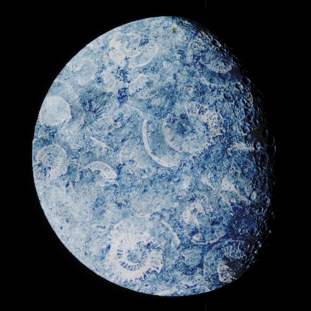blue fossil moon.jpg