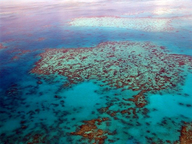 great-barrier-reef-261720_640.jpg