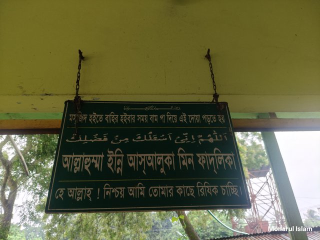 1000031482.jpg