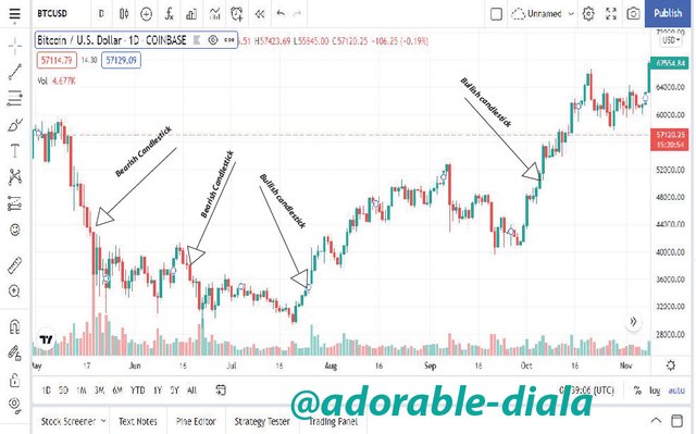 bullish bearish edited.jpg