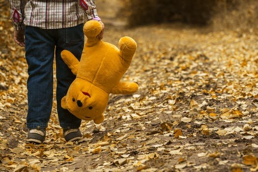 child-autumn-bear-leaves.jpg