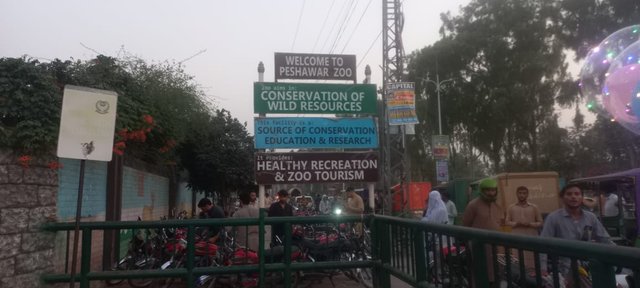 Purpose of zoo.jpeg