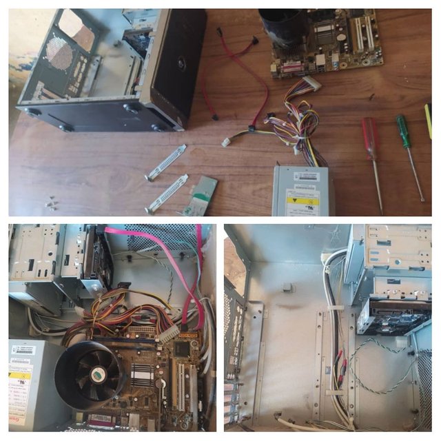 IMG_20211002_212842-COLLAGE.jpg