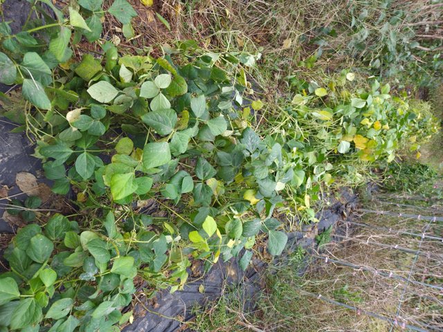 카카오스토리_2025_10_14 20_46_00.jpg