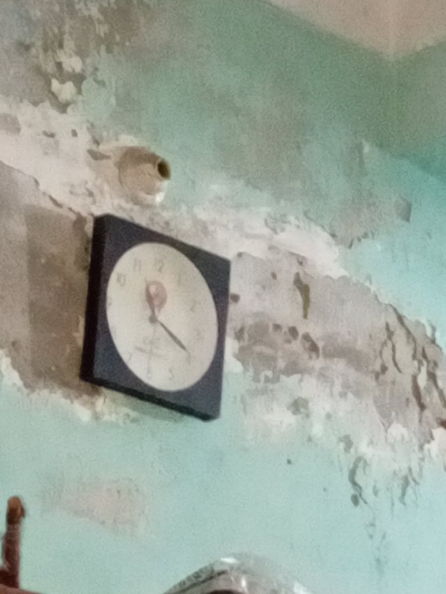 1000041291.jpg
