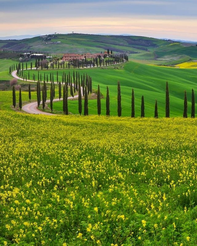 planeta tierra Toscana Itlaia.jpg