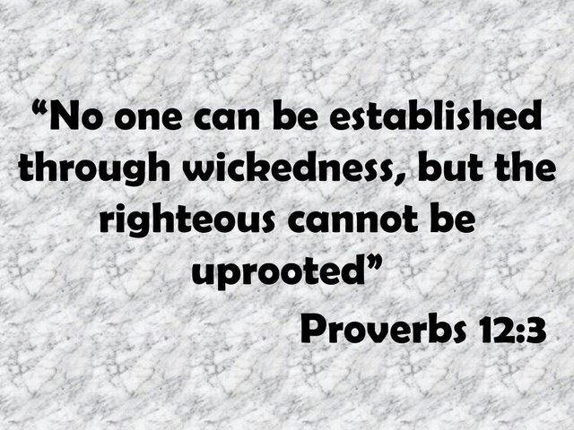 Wise teaching. No one can be established through wickedness, but the righteous cannot be uprooted. Proverbs 12,3.jpg