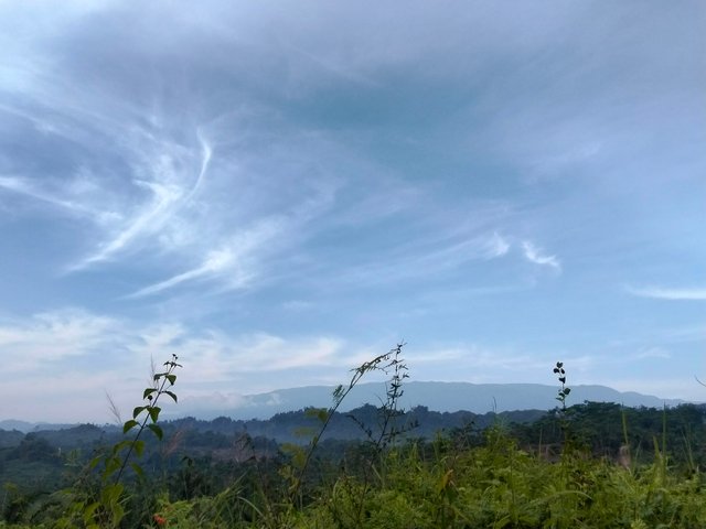 1000200425.jpg