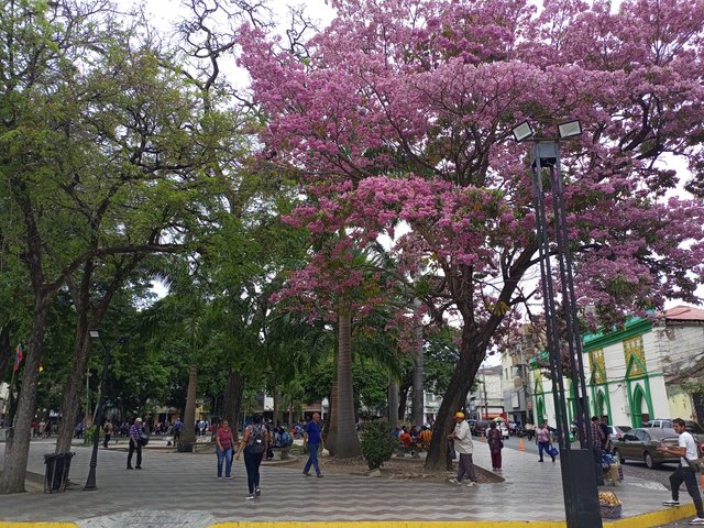 IMG_20250408_112827_878.jpg