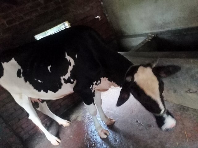 IMG20250915174530.jpg
