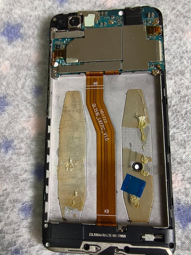 1000010188.jpg