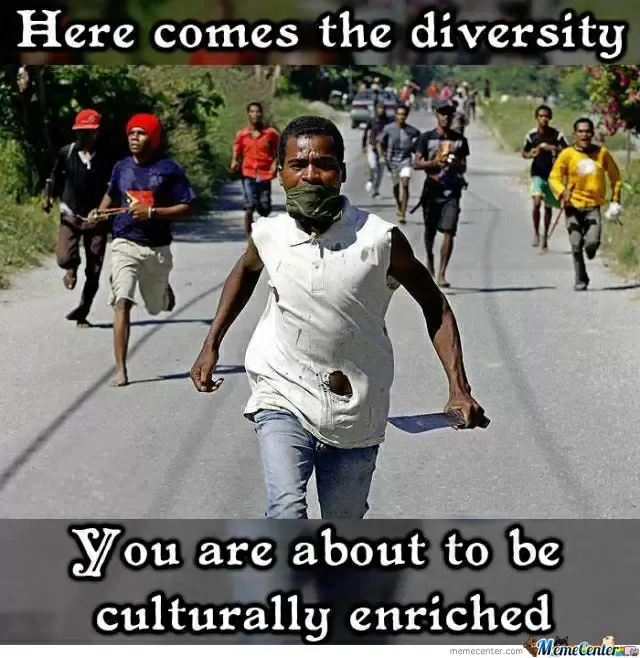 cultural-diversity-at-its-finest_o_1600913.webp