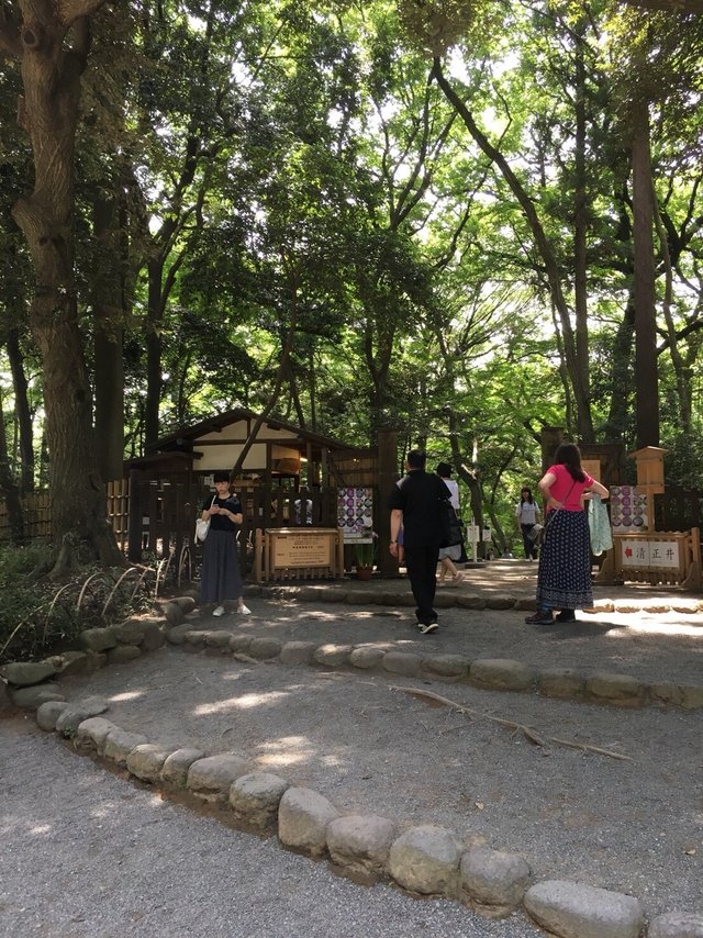Meiji Shrine 8.jpg