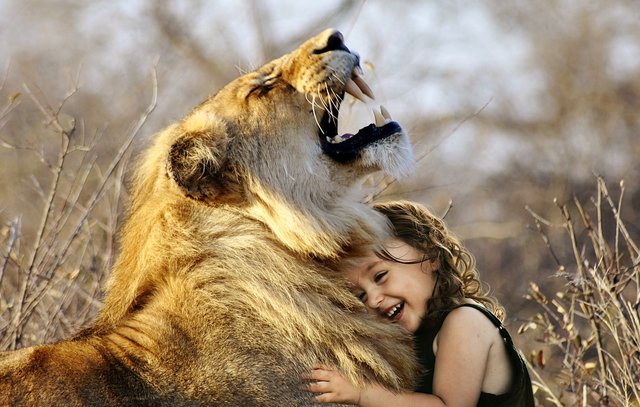lion-3012515_1280 (1).jpg