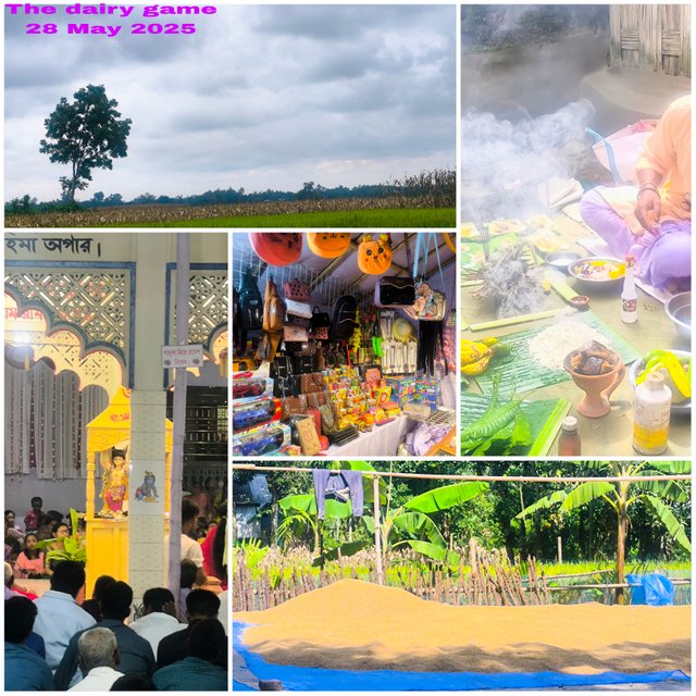 Picsart_25-05-28_20-14-12-150.jpg