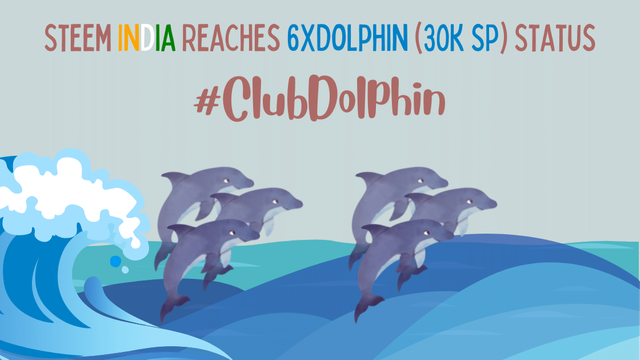 #clubdolphin.png