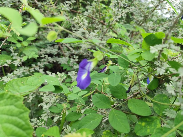 IMG_20250731_225614.jpg