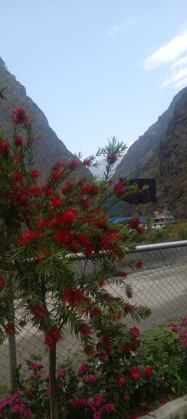 20250503_070935.jpg