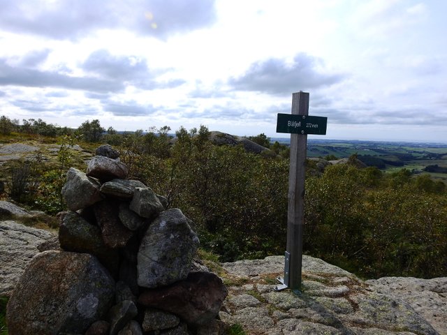miniDSCN0405.JPG