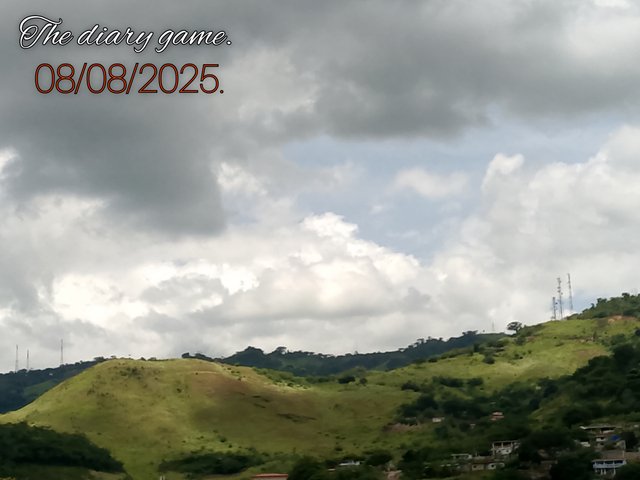 FotoGrid_20250808_152609412.jpg
