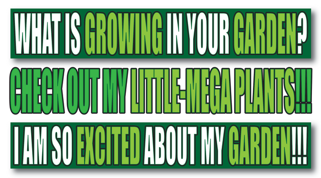 What's Growing in Your Garden - @diytube.png