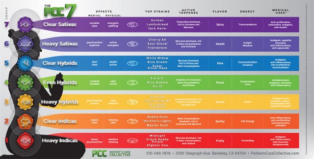 Cannabis breakdown.jpg