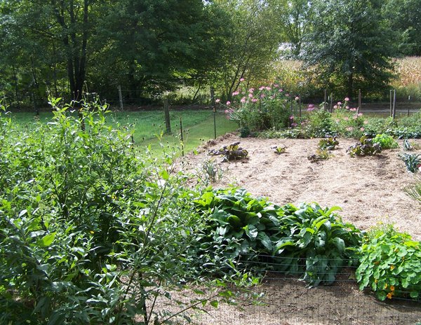 Big garden - finished east half crop Sept. 2018.jpg