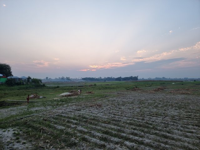 1000034838.jpg