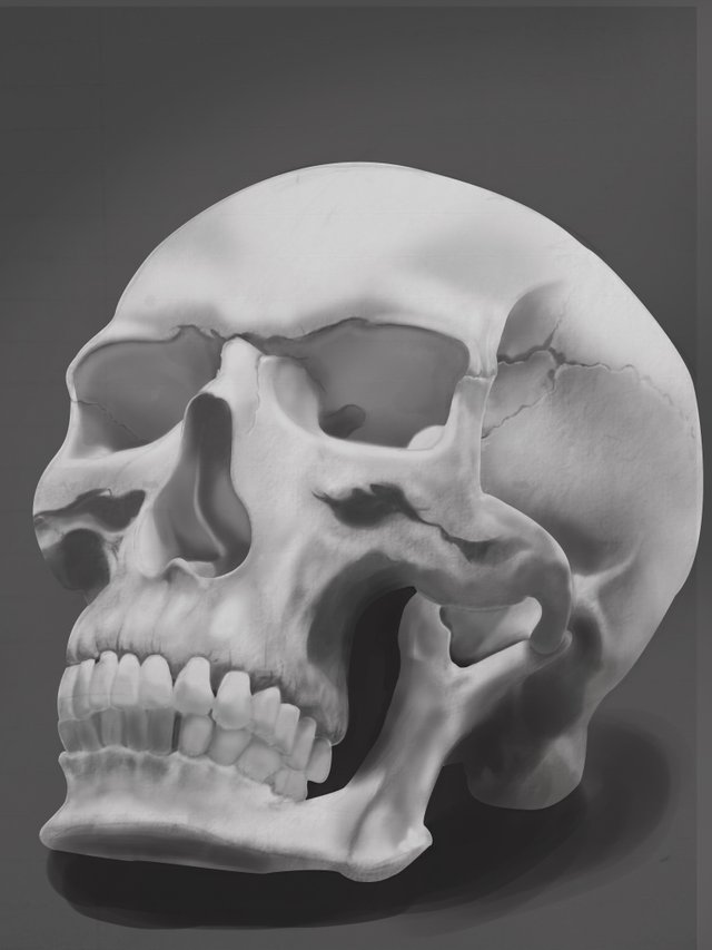 grey skull.jpg