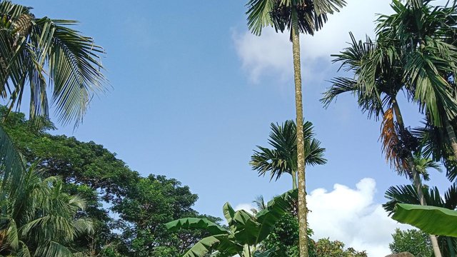 IMG_20250924_181242_876.jpg