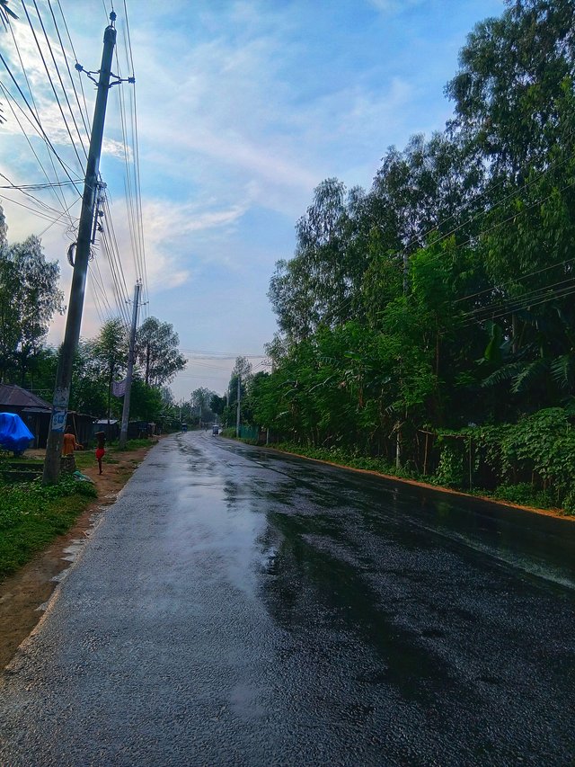 6320.jpg