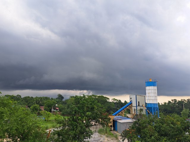 1000044596.jpg