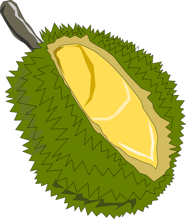 jackfruit-150078_1280.png