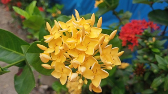 IMG20250520105209.jpg