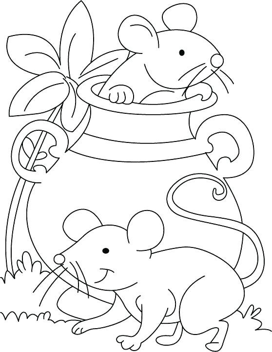 Animal 22 mouse done.jpg