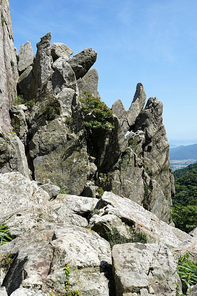 b-DSC08314.JPG
