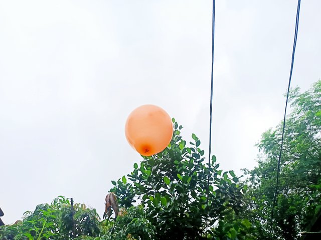 1000012530.jpg